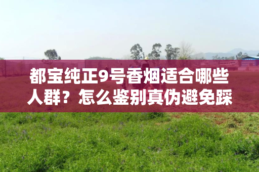 都宝纯正9号香烟适合哪些人群？怎么鉴别真伪避免踩坑？